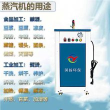 电蒸汽发生器 国扬环保供应 燃气蒸汽锅炉 全自动模块炉 可定制
