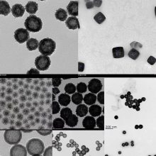 羧基中空介孔四氧化三铁纳米颗粒