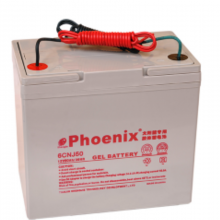 Phoenixܴ