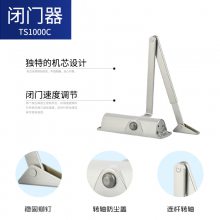 TS1000C Զ 徲 ȫ ε