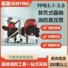 ɭˮñʽɭѹYPB3.1-3.0Զɭ