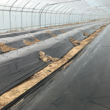 厂家供应PE黑色地膜遮光防草农膜农用塑料黑薄膜温室种植