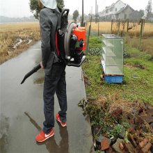 大棚积雪清理机 路面风力灭火机 鲁华园林落叶吹吸机