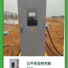 广东广州 120KW直流充电桩 商用新能源电动车 过压保护 自动充满