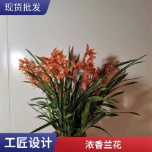 燎伯兰业 大花浓香花卉盆栽 建兰醉美人 办公室绿植花卉