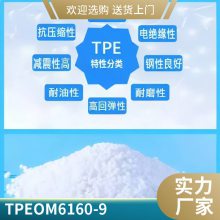 ʿTPE OM 6160-9 ͵  ϻ ͺ Ե