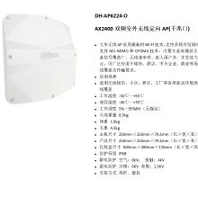  DH-AP6224-O ˫Ƶ߶AP(ǧ׿)