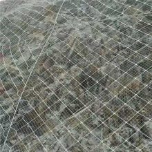 武威绿化喷浆边坡防护网 钢丝绳拦石网 施工主动网被动网生产