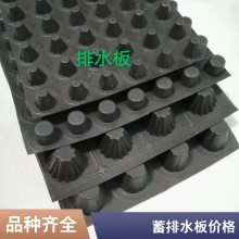 黑色PE塑料绿化蓄排水板虹吸材料凹凸过滤复合排水板