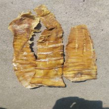 空气能笋干烘干产品系列 新款竹荪烘干机 竹荪烘干机设备厂家供应