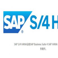 SAP S4ϵͳ SAP HANAϵͳ ѡHANAʵʩ̹