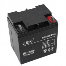 LUOKIMPC65-12 12V65AHǦᷧάƿֻ