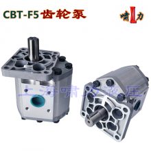 CBT-E550-FPR 液压泵 CBT-F550-FPR 法兰式油口连接方式 啸力 高压油泵