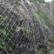 ���Ա��·�������һ���Ը�ǿ�ȸ�˿����Ϊ��Ҫ���ɲ��ֵ����Է���