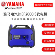 ԭװƵEF2200ISͷ220v1kw