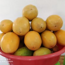 ľ硡ľ硡