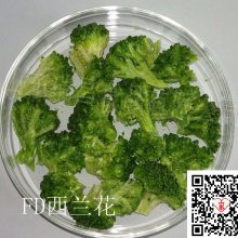 厂家直供脱水蔬菜冻干西兰花