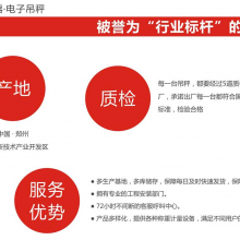 直视式电子吊秤厂家_大量程电子吊秤厂家定制