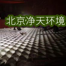 广西管束除雾器湿法脱硫湍流器-北京净天***排放