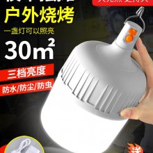 广东星诺明灯具负离子球泡灯铝基板声光控恒优制造商