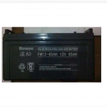BINSONBS100-12ʽǦά12V100AHܴ۸