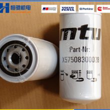 ¹MTU0031845301ȼо