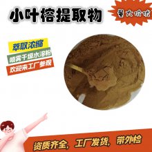 小叶榕提取物库存量大 斯诺特生产 溶解性好 包邮