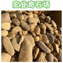 鹅卵石规格丰富/佛山鹅卵石多少钱一吨/散装/吨袋装鹅卵石