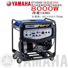 EF10500E8.0KVAĳ˫׵ ɫ 