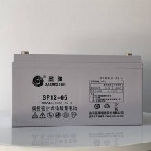 ʥSP12-100AH 12V100AH UPSԴ/ֱ׵ƿ