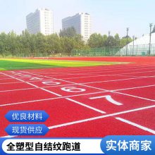 学校公园透气性新国标混合型自结纹运动场地13mm全塑型塑胶跑道