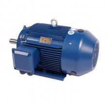 YE5系列国标1级 ***产品 节能电机 YE5-90L-2/2.2KW 380V/660V B3/B5/B35/V1 SKF 可做变频使用