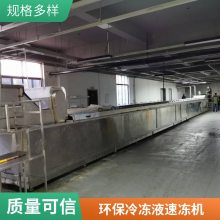 隧道式海鲜食品速冻机 全自动水果保鲜速冻柜 商用快速冷冻设备