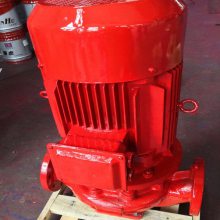 XBD4.0/200-300Lʽ ˨ܱùܵı