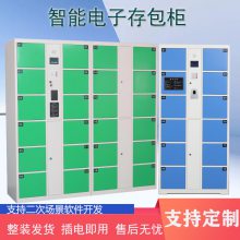 花中盛阳 商场超市智能存包柜人脸识别6门储物 掌纹 密码 指纹开门