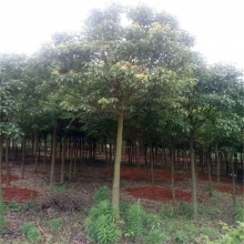 15糧ҡ硢15
