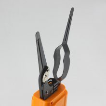 ɵ ߿ Զ Եӳ˹