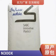 PPO N300X 