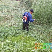 н«έ ˮ  רҵˮˮֲ