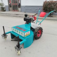 ʽݻ ľոݻе ũַ԰ݻ