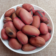 中药材刀豆壳功效与作用 刀豆子壳,红刀豆壳,大刀豆壳,刀巴豆壳,马