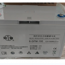 ˫ ܱʽǦ 6-GFM-100 (C10)