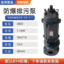 50HWQ10-12-1.1防爆排污泵不锈钢大流量排污泵EX