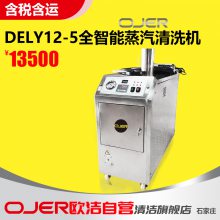 欧洁羿尔 OJER DELY12-5高温蒸汽清洗机 油污去除机 烟道清洗机。市场油污清洗机