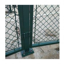 ��ͷ���ο��˶��������� ��������Χ���� Ѹӥ�������˶���Χ��