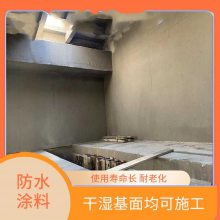 高性能弹性环氧改性复合防腐防水涂料 污水池防腐材料 生产厂家