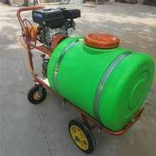启航 拉管式喷雾器 自走式杀虫打药车参数