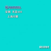 宝钢黄石与上海宝钢 氟碳阔叶绿319哪里买 内蒙古地区代理商