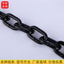 浙江嘉兴16mm粗公园护栏链条16mm粗包塑链14mm16mm
