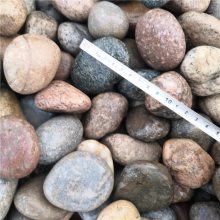山东变压器鹅卵石厂家 永顺5-8 8-12 12-20公分鹅卵石